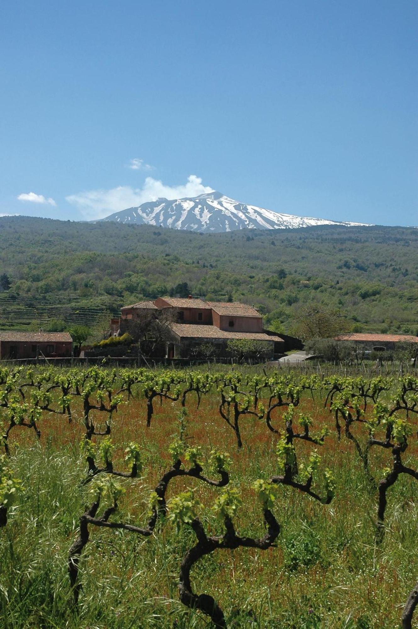 Agriturismo Valle Galfina Linguaglossa Exterior photo